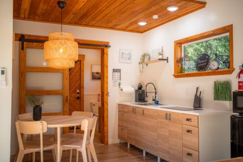 domance_nestscape_10-19-25_photo_web_005_copy