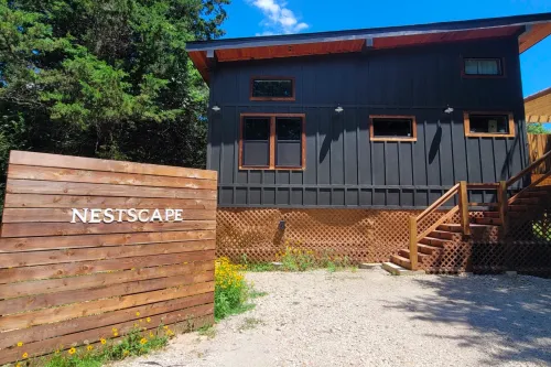 nestscape_resized_001