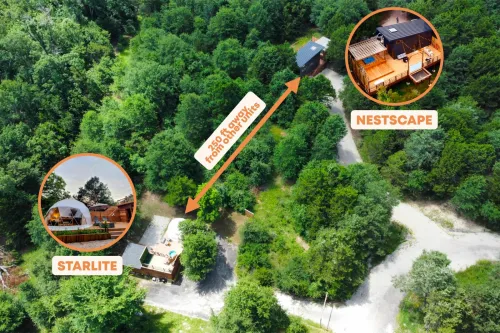 nestscape_resized_010